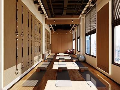 现代极简瑜伽室 瑜伽室
