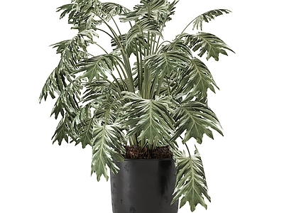 花 花瓶花卉