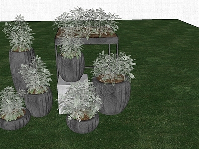 现代其他景观小品 花盆植物 景观小品花盆植物