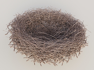 现代其他景观小品 藤编鸟巢 鸟窝装饰 景观鸟窝 鸟窝