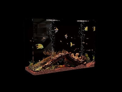 现代鱼缸 现代风热带鱼鱼缸