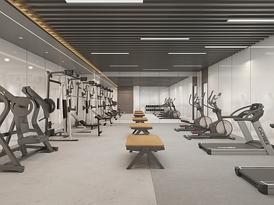 现代简约健身房 现代健身房 健身房 跑步机 健身室 健身器材