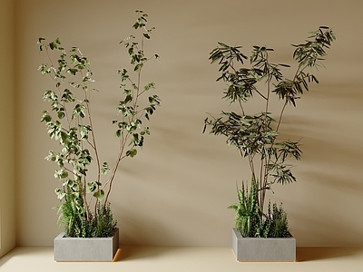 植物堆 现代简约 花卉 室内造景 景观