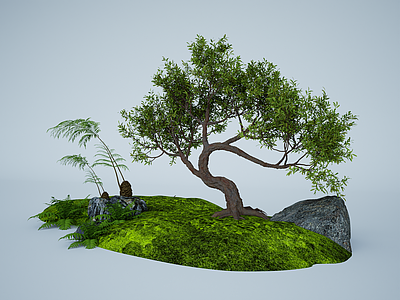 日式禅意其他景观小品 造型树 日式小景