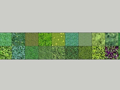 现代植物组合 树池植物组合 植物贴图