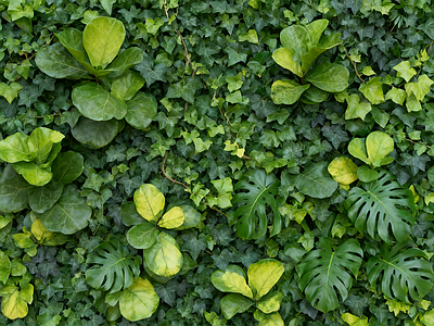 现代绿植墙 垂直绿化墙 植物墙 绿植背景墙 仿真植物 植物装饰墙面