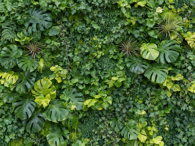 现代绿植墙 垂直绿化墙 植物墙 绿植背景墙 仿真植物 植物装饰墙面