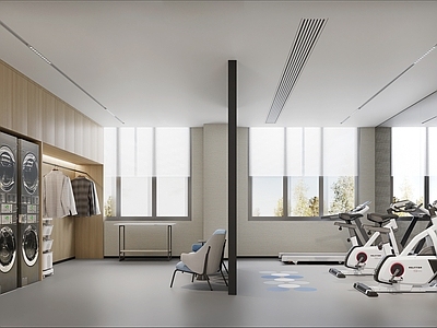 现代健身房 现代健身房洗衣房 酒店健身洗衣房 公共健身房 公共洗衣房