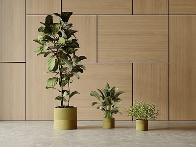 其他绿植 现代 盆栽 花艺 植物堆