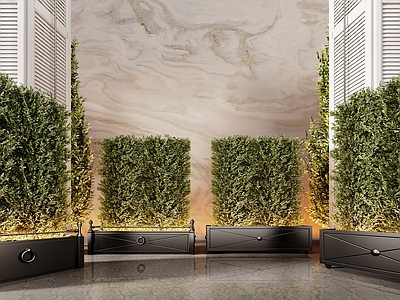 绿植墙 绿植墙 酒店绿植 灌木 酒店 绿植组合