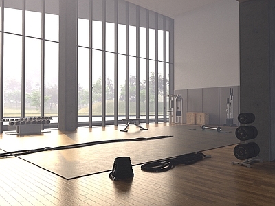 现代其他公共空间 健身房 健身 健身器材