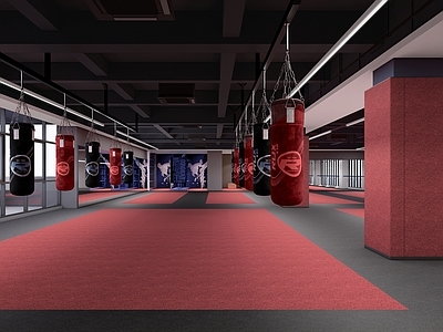 现代健身房 跆拳道 训练场