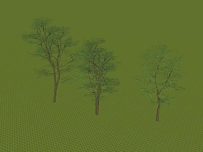 乔木 乌桕朴树植物 景观树 银杏 果树 行道树