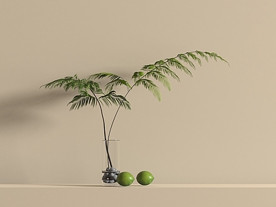 水生植物 水生植物 蕨类