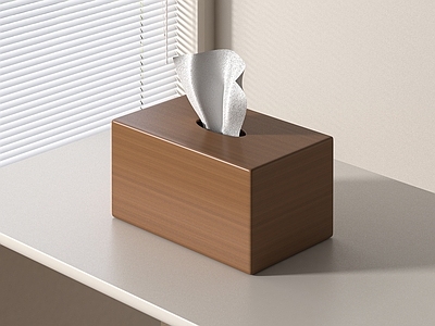其他生活用品 纸巾盒 纸巾
