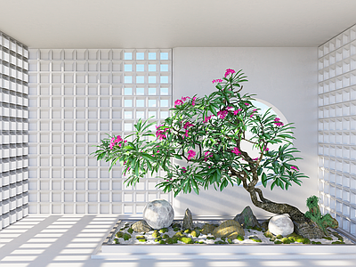 植物组合 庭院植物小品 鸡蛋花造景组合 绿植造景组合 镂空景墙