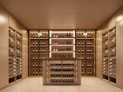 现代酒窖 酒窖 地下室