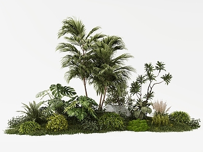 植物堆 绿植组合