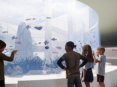 现代中式教育校园景观 校园景观 假山鱼池景观 庭院鱼池景观 水族馆 鱼池