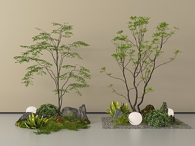 现代其他景观小品 景观树 石头 庭院景观 植物组合 室内景观 现代庭院小品