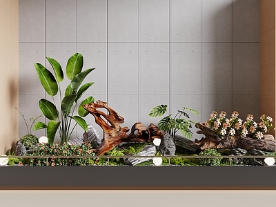 现代花池 花池 植物造景 室内景观 景观小品 植物堆