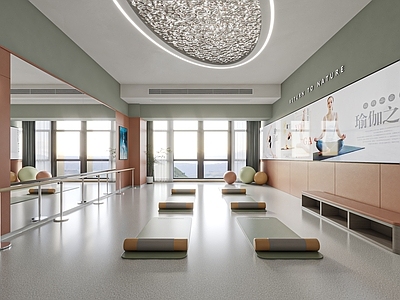 现代瑜伽室 瑜伽室
