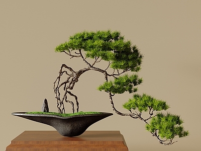 新中式花艺 干花 松树盆栽 盆景 绿植