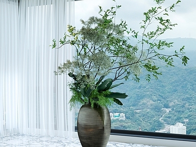 盆栽 装饰绿植 室内植物 植物盆栽