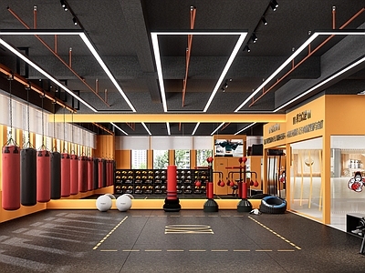 现代简约健身房 拳击馆 搏击馆 沙袋 训练器材 拳击