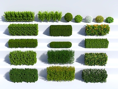 植物堆 植物 绿植 中古风 树墙 灌木