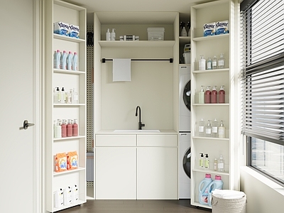 现代简约阳台 生活阳台 现代洗衣房 现代家政间 洗浴用品 拖把