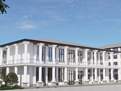 新中式中式图书馆建筑 新中式图书馆 大学图书馆 大学教学楼 中式图书馆