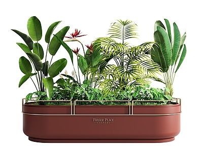 花箱 外摆花箱 植物组合 盆栽 室内景观 景观造景