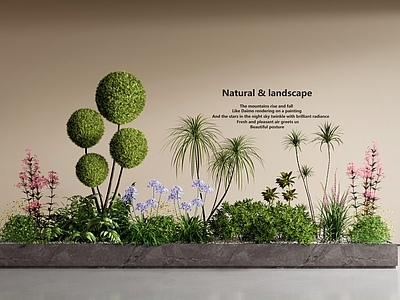 现代室内景观 景观造景 花箱 植物组合 灌木球