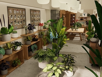 现代花店 花店