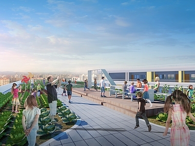 现代教育校园景观 屋顶花园 屋顶农场 校园屋顶