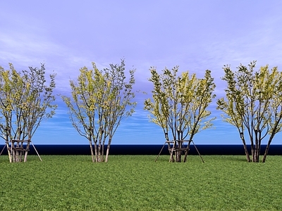 乔木 2D丛生乔木 丛生朴树 丛生栾树 2D丛生景观树 丛生榆树