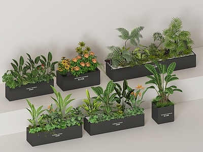 盆栽 花草 盆栽花草 外摆花箱组合 绿植堆 花盆花钵