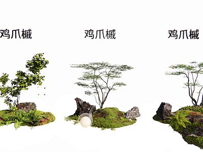 植物组合 鸡爪槭植物组团 庭院日式景观植物 禅意庭院植物组团 山石苔藓蕨类植物 槭树组团合集