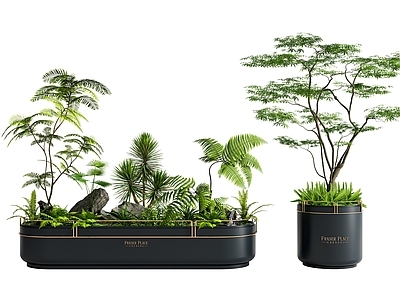 植物组合 外摆花箱 花池花坛 景观造景 盆栽 花草景观树