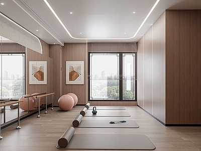 新中式瑜伽室 瑜伽室 新中式 运动 健康 康养
