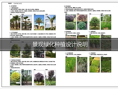 现代设计说明 植物设计说明 绿化设计说明 施工图