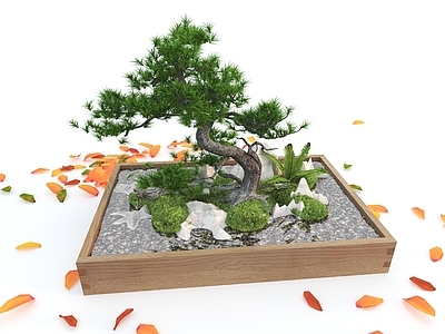 盆栽 现代桌面盆景 迎客松 盆景 桌面景观 桌面流水景观