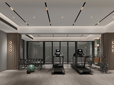现代酒店 酒店健身房 健身器材