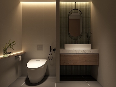 现代公共卫生间 店铺卫生间 干湿分区洗手间 马桶加强冲