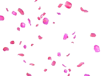 花草 玫瑰花瓣 牡丹花瓣 红花 飘花落 飘落的花瓣