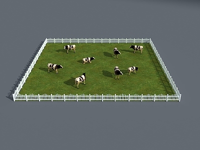 家禽类动物 奶牛 家畜 老牛 牛群 黄牛