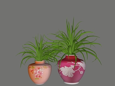 盆栽 盆栽
