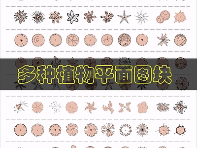 灌木种植 灌木图块 施工图