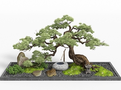 新中式其他景观小品 松树石头水景园艺